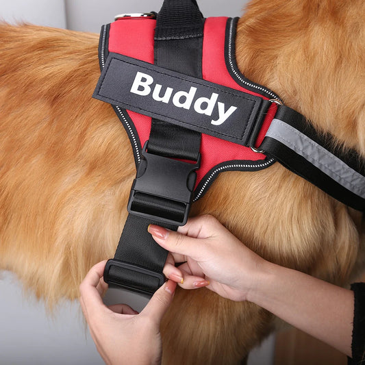 "Reflective Breathable Dog Harness for Outdoor Walks"